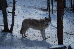 014_2009-0214-1401-30.jpg